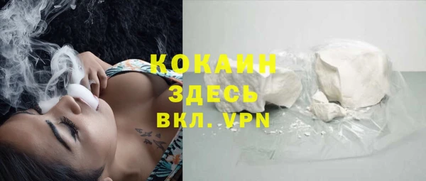 PSILOCYBIN Карпинск