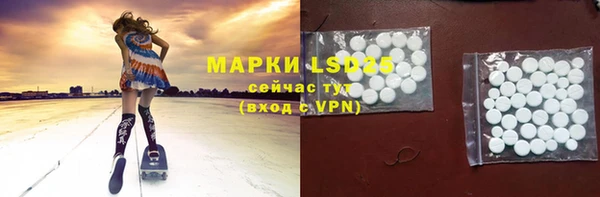 PSILOCYBIN Карпинск