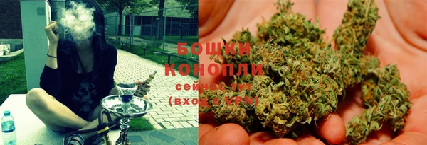 PSILOCYBIN Карпинск
